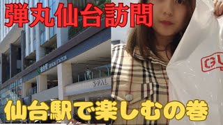 【2時間でも楽しい】仙台駅の魅力がすごかった【牛タン】 [upl. by Kaplan]