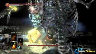 DARK SOULS 3  VAINCRE LE CHEF SUPRÊME WOLNIR [upl. by Ivo98]