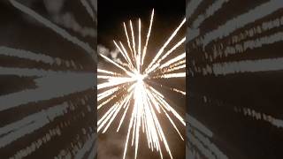 Vivid pyrotechnics REEPERS fireworksuk [upl. by Devaj]