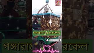 গঙ্গারামপুর শহর viralshort viralvideo sahidur sher gongatam pur video short ghohoit market [upl. by Derby862]