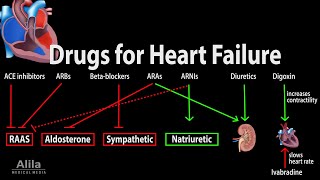 Pharmacology Drugs for Heart Failure Animation [upl. by Katusha299]