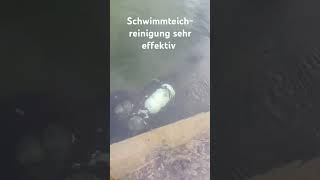 Schwimmteichreinigung mit Tauchgerät schwimmteich naturpool teich [upl. by Aynuat987]