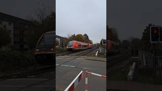 BR 641 015 der Deutsche Bahn am Bahnübergang in Grenzach deutschebahn trainspotting shorts yt [upl. by Nwahc]