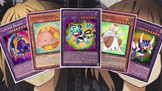 My Fluffal Yugioh Deck Profile for March 2024 [upl. by Ecinnej]