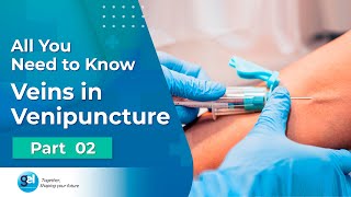 Anatomy of Phlebotomy I Venipuncture Procedure I Global Edulink [upl. by Arymat]