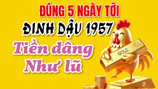 Đúng 5 ngày tới đây Tử vi Đinh Dậu 1957 bội thu tài lộc tiền bạc dâng lên như nước đầu nguồn [upl. by Ahsinahs875]