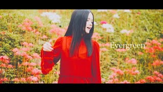 sajou no hana 『Evergreen』（Music Video） [upl. by Giannini]