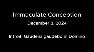 Mass for December 8 2024 Immaculate Conception [upl. by Htenywg]