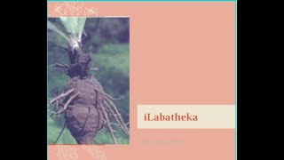 Ilabatheka [upl. by Deehsar885]