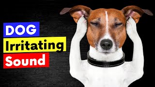 Dog Irritating Sound  Sounds that Dogs Hate to Hear [upl. by Beetner]