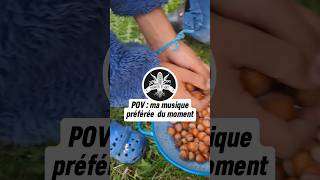 Que font ces petits écureuils  🐿🥜🌲 [upl. by Iturhs]