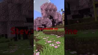 Stev minecraft [upl. by Aroc]