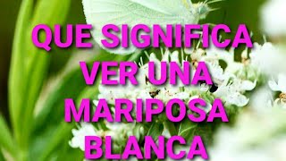 QUE SIGNIFICA VER UNA MARIPOSA BLANCA [upl. by Renaldo90]