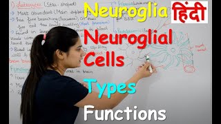 Neuroglia in Hindi  Types  Functions  Structure  neuroglial cells  Rajneet Medical Education [upl. by Atirabrab]