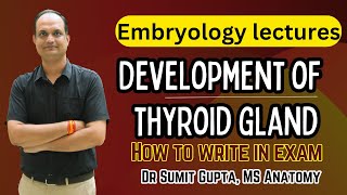 Development of thyroid gland  Embryology [upl. by Ahtenak]