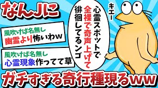 【2ch面白いスレ】【悲報】なんJ民に、ガチの奇行種が現れてしまうｗｗｗ【ゆっくり解説】 [upl. by Imij]