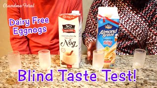 Eggnog Taste Test  Vegan Eggnog  Dairy Free Egg Nog  Coconut Milk Eggnog vs Almond Milk Eggnog [upl. by Htesil]