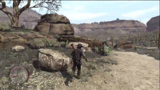 Red Dead Redemption  Treasure Hunter Rank 2 [upl. by Enyalaj686]