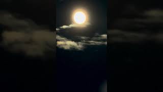 FINAL SUPERMOON OF 2024  BEAVER MOON OF NOVEMBER 15 nightsky night sunrise super subscribe [upl. by Enaz521]