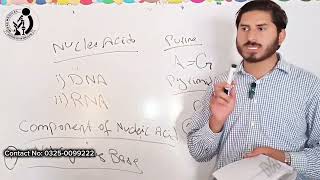 BCategory •• Nucleic Acid amp Types of Nucleic Acid✓ Biochemistry Lacture [upl. by Attemaj]