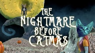 NIGHTMARE BEFORE CHRISTMAS Cute Kitten Version [upl. by Cates446]