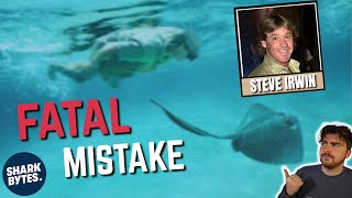 How Did THIS Stingray KILL Steve Irwin [upl. by Yahc6]