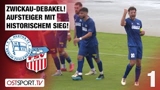 ZwickauDebakel Aufsteiger Hertha mit historischem Sieg Zehlendorf  FSV  Regionalliga Nordost [upl. by Belier393]