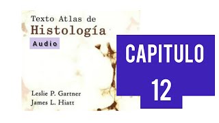 Audios Cap 12🎧 Sistema linfoide Histología Leslie Gartner 😀 [upl. by Darcey]