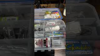 Drop Shot Terminal Tackle Box Organization bassfishing shorts youtubeshorts dropshot [upl. by Hakim]