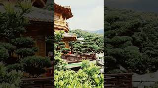 Nan Lian Garden Scenic View bonsai ponds nature shortsvideo viral [upl. by Au]