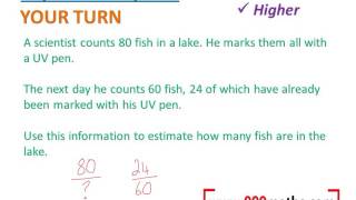 Capture Recapture new GCSE maths [upl. by Ymma]