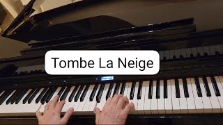 Salvatore AdamoTombe la neigePiano cover [upl. by Cung222]