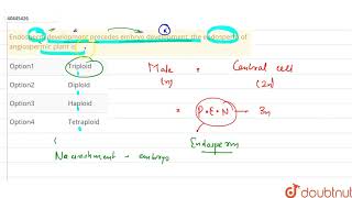 Endosperm development precedes embryo development the endosperm of angiospermic plant is [upl. by Yalonda860]