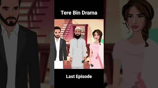 Tere Bin  Drama  last episode terebin murtasim meerab pakistanidrama terebinlastepisode [upl. by Elfie]