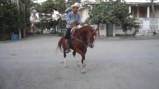 Don Jaime Nunez Pena  Caballos Bailando  Caballos de Rienda Charra [upl. by Lehrer]