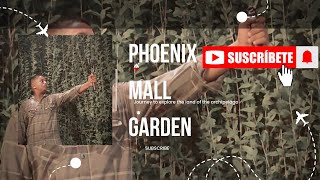 phoenix Mall Market City GARDEN 🏡 [upl. by Essined]