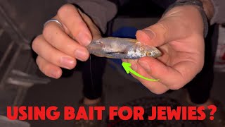 We Try Fishing Bait For Jewfish At Night  Shoalhaven River  Part 2 [upl. by Goldfinch740]