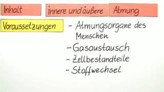 INNERE UND ÄUßERE ATMUNG  Biologie  Biologie des Menschen Mittelstufe [upl. by Gere732]