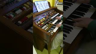 Schneeflöckchen Weißröckchen  played on Yamaha Electone D85 [upl. by Aldarcie]