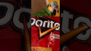 Empanada Doritos…igelcarlitosloro [upl. by Yanaton]