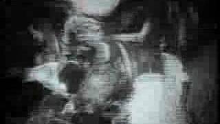 Mudhoney  This Gift OFFICIAL VIDEO [upl. by Danelle939]