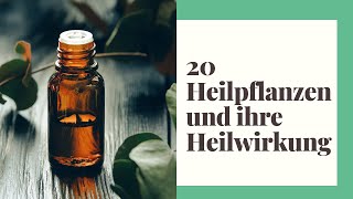 20 Heilpflanzen und ihre Heilwirkung [upl. by Nilyram]