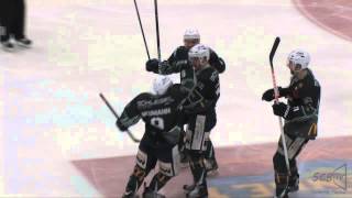 Bietigheim Steelers 201213 A SEASON TO REMEMBER [upl. by Mitran]