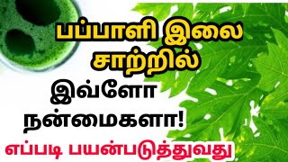 பப்பாளி இலை பயன்கள் ரத்த தட்டணுக்கள் கூட Papaya leaf benefits tamil papali ilai kashayam in tamil [upl. by Freddy177]