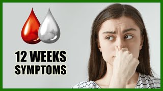 12 Weeks Pregnant Symptoms – Baby Size in Womb and Baby Movement [upl. by Nertie461]