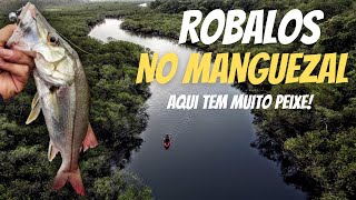 FOI NO REPONTO DA MARÉ QUE OS ROBALOS ABRIRAM A BOCA [upl. by Tezzil50]