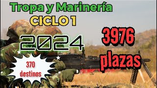 ¡Convocatoria de Tropa y Marinería 2024 [upl. by Duax153]