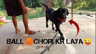 dog sound  dog  dog barking sound  dog barking  dog fight  dog video  dog voice  dogri song [upl. by Maroney]