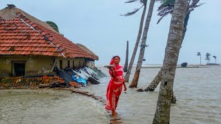 The Sundarbans Mangrove Delta Forest in Asia—Educational Video English [upl. by Zetnas51]