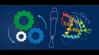 GST tag Affinity Chromatography A Technique for Outstanding Results from the Purification of Recombi [upl. by Pritchett]